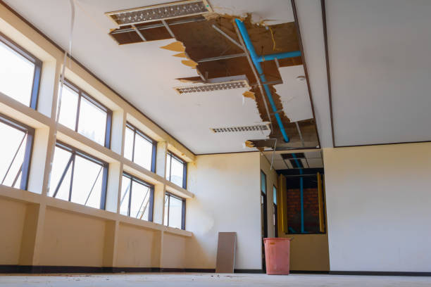 Water damage restoration mold remediation in MD