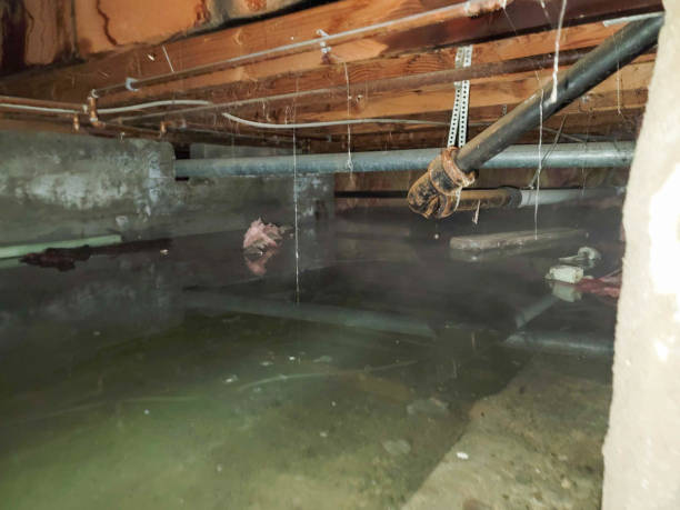 Best Water damage restoration near me  in Mays Chapel, MD