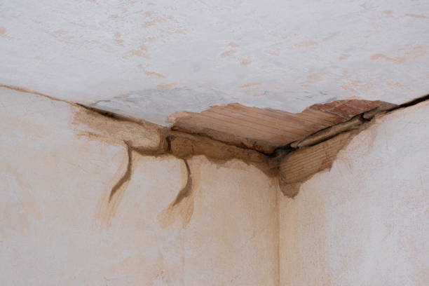 Best Water damage restoration mold remediation  in Mays Chapel, MD