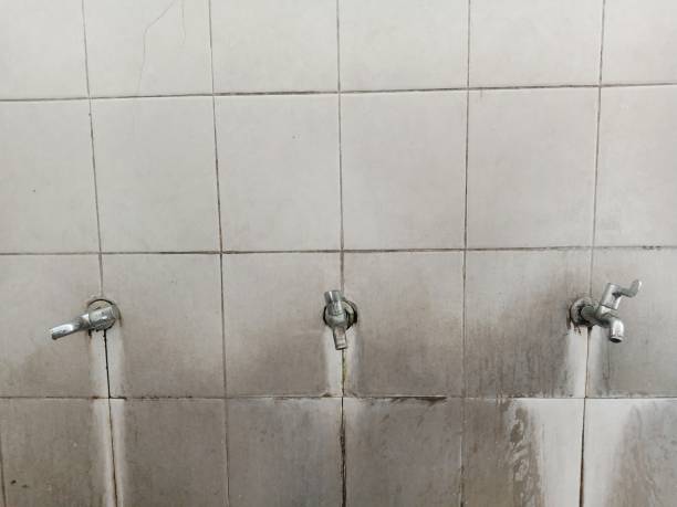 Best Residential water damage restoration  in Mays Chapel, MD