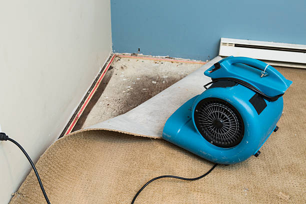Best Local water damage restoration  in Mays Chapel, MD